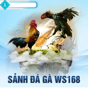 Cá Cược Thể Thao 789wim